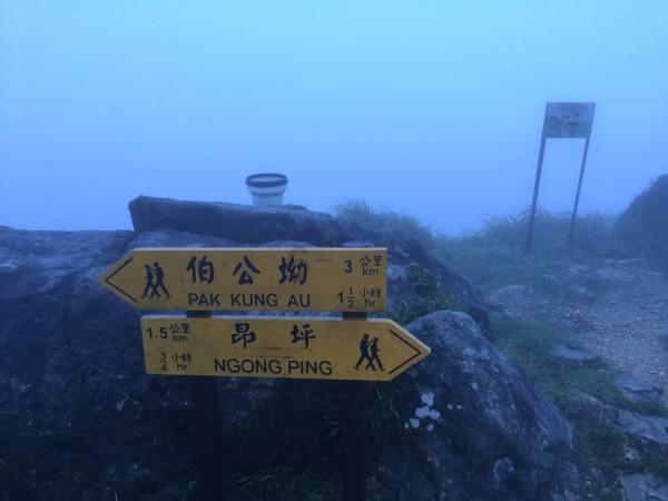 唱响“善城善育 童享滕州”儿童友好品牌 让城市更有爱更有温度